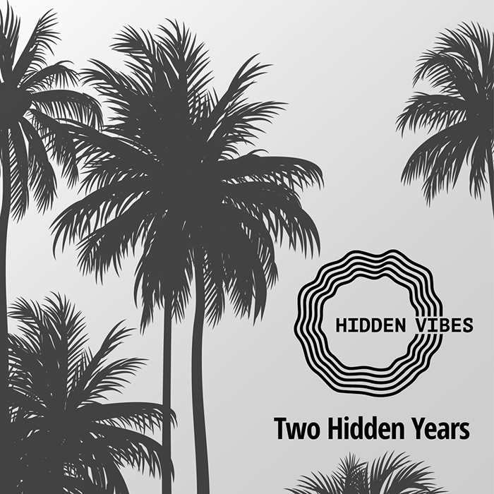 Various Artists - Two Hidden Years cover