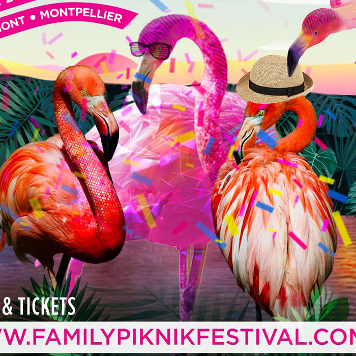 Family Piknik announce 7th edition of the festival cover