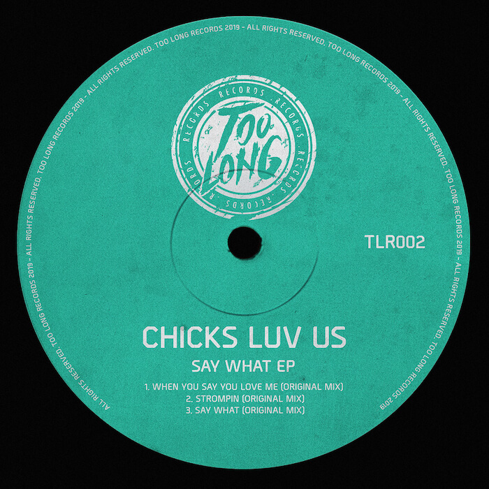 Chicks Luv Us - Say What EP cover