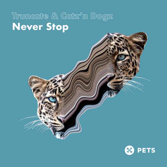 Truncate & Catz 'n Dogz - Never Stop cover